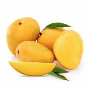 Banganapalli Mango - Marvel Traders Impex