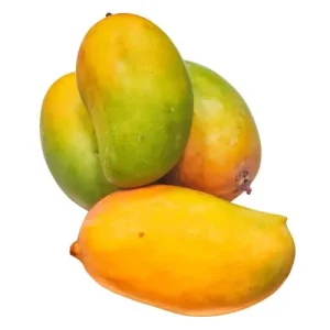 Kesar Mangoes - Marvel Traders Impex